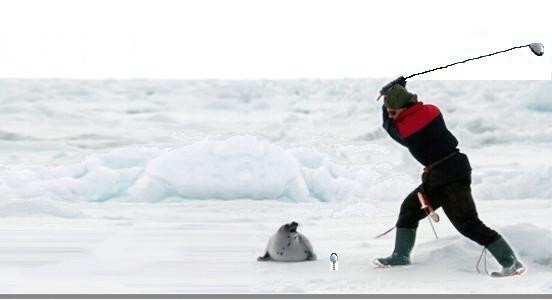 Arctic Golf
