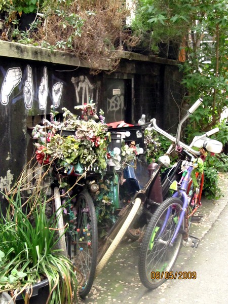 Only in Amsterdam