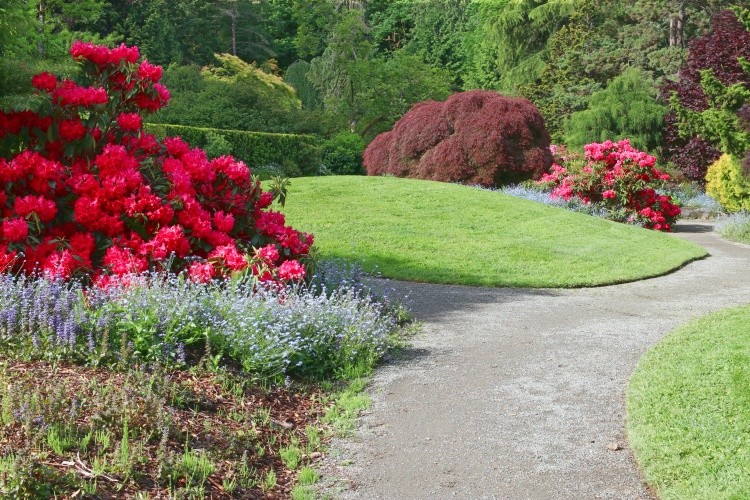 spring into morning