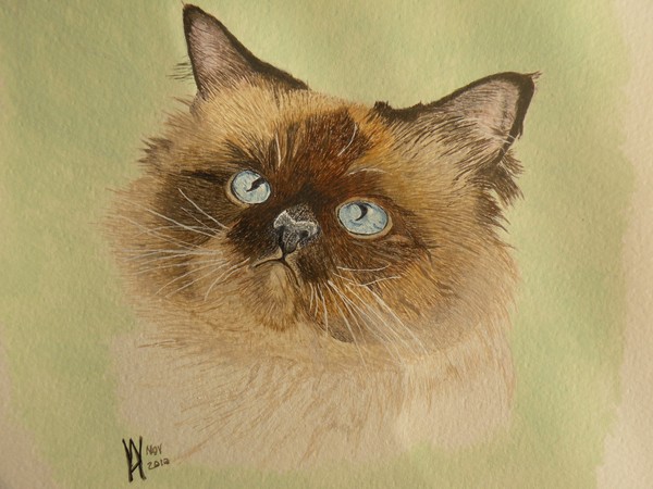 Tabatha