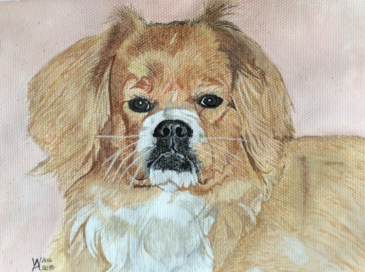 our beloved Poppy sadly departed.