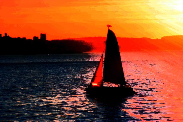 San Francisco Winter