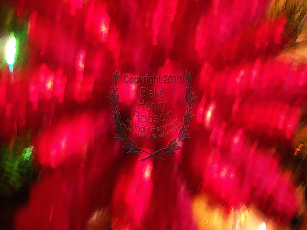 Christmas tree, ornaments, tinsel & colorful light
