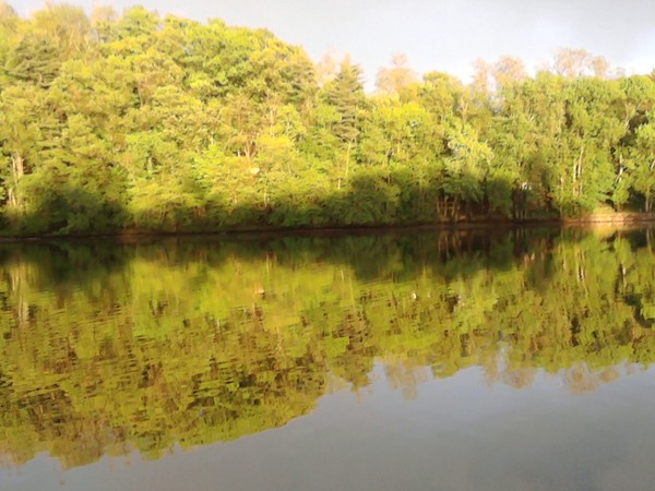 river reflections