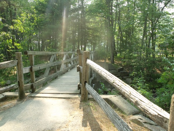 A Bridge to Somewhere...