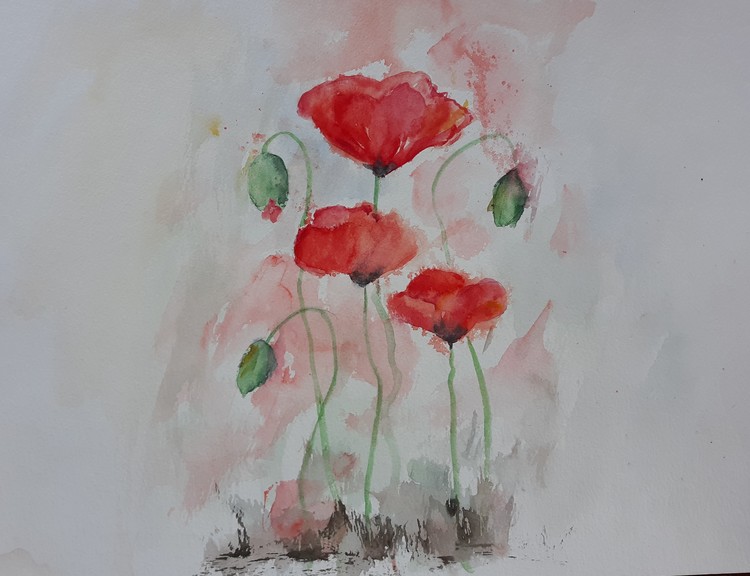 Poppies