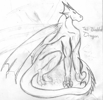 Dragon Sketch