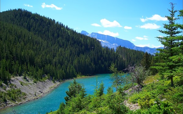 Cut By A River 