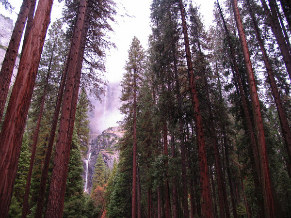 Yosemite Falls