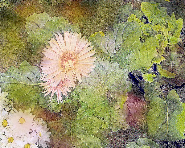 Pastel flower grouping