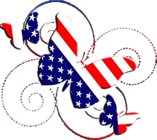 American Flag Butterflies 