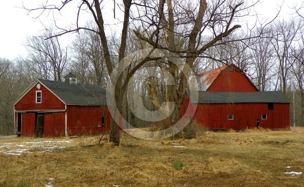Warren County Barns