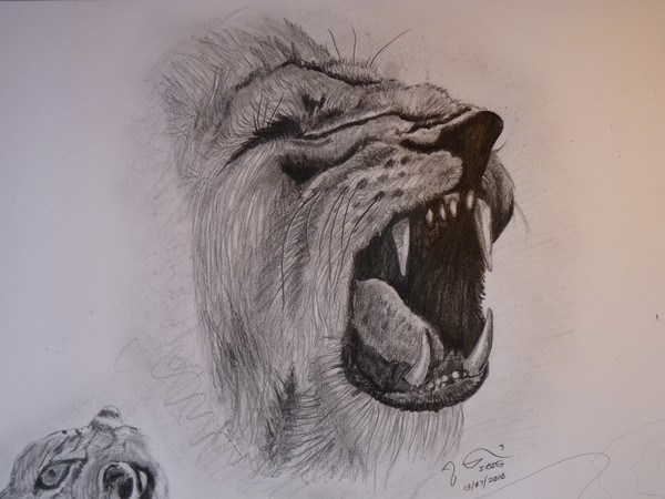 Yawn