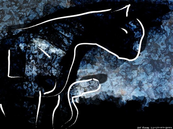 The cat