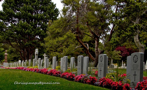 Remember the Fallen