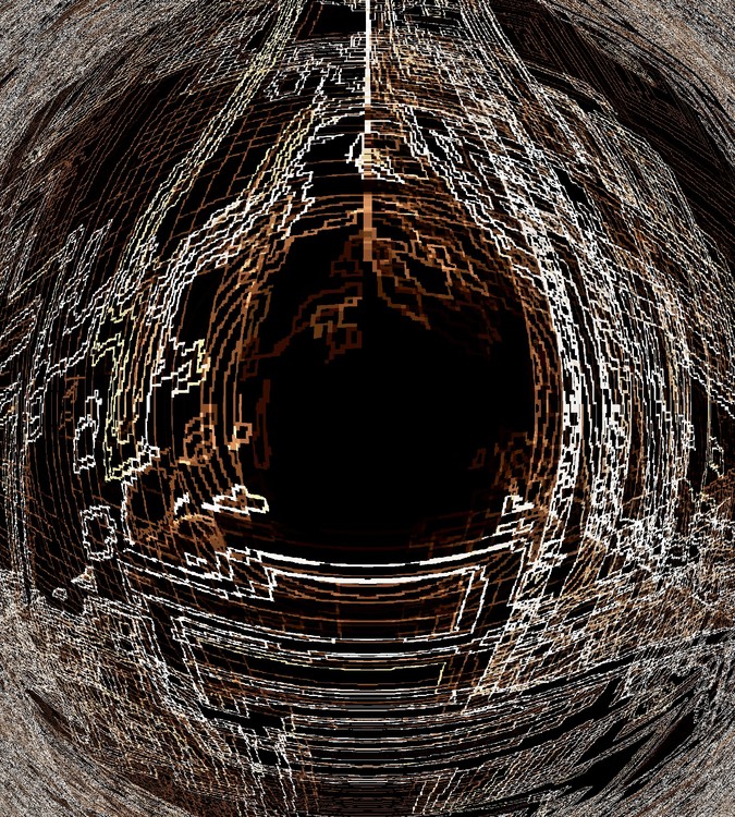Nest