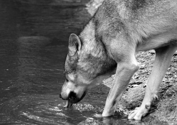 Water break