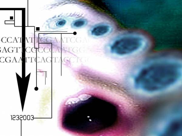 many eyes have seen the never