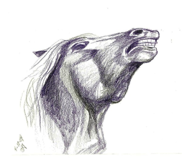 Anger