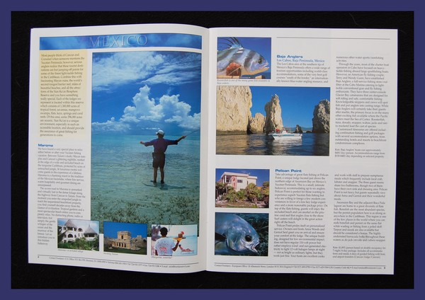 Saltwater Guide