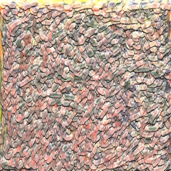 The Maze