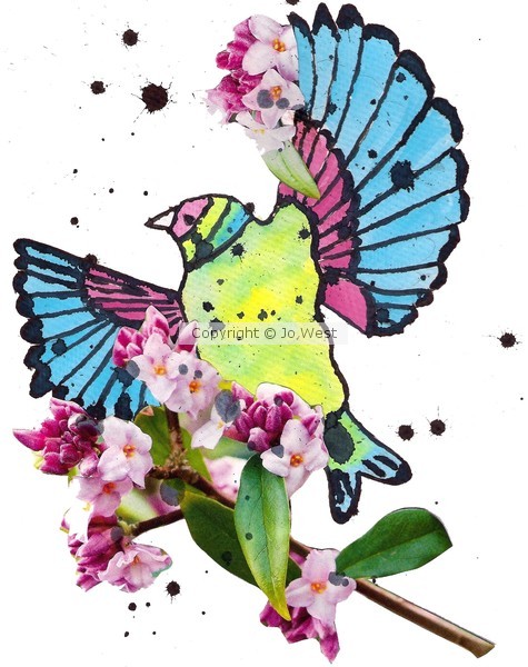 exotic bird
