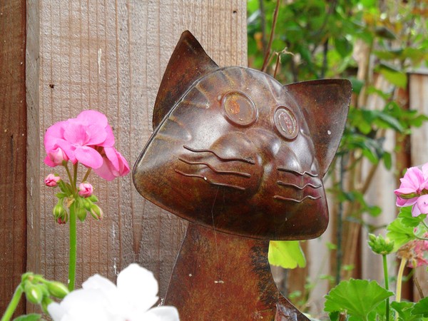 Garden Cat II