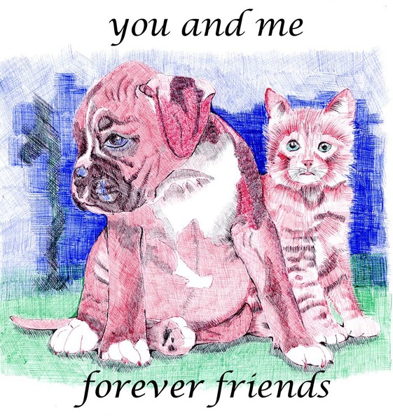 Cat'n dog: forever friends
