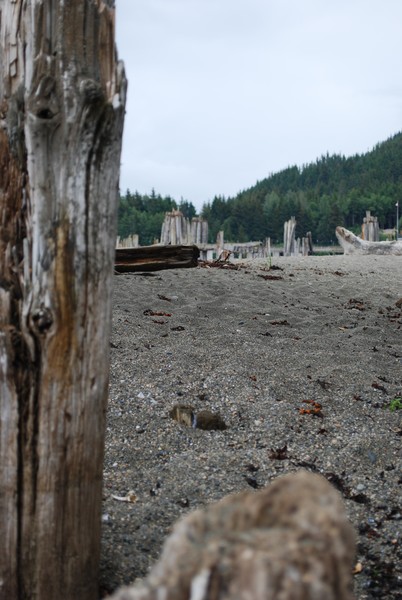 Low Tide