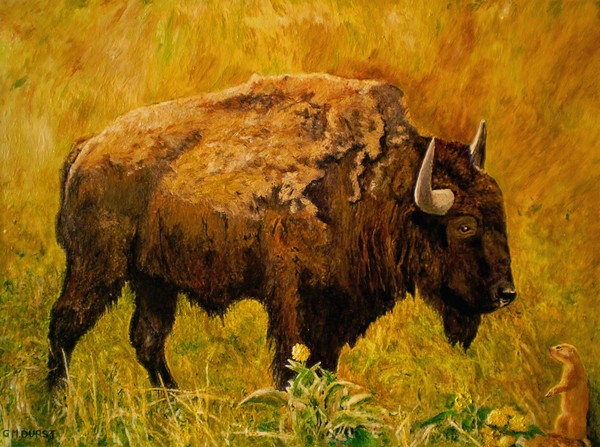 Prairie Companions