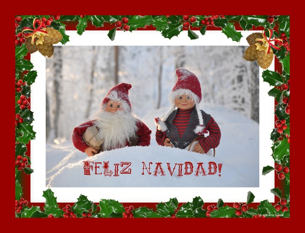 Feliz Navidad!