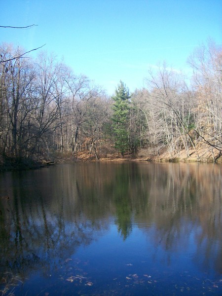Lake Front View