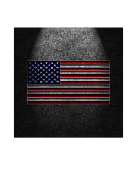 American Flag Stone Texture