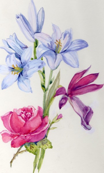 Flower Study