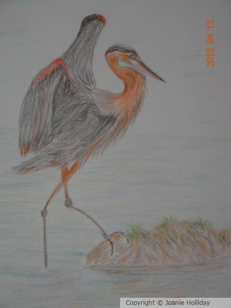HERE FISHY, FISHY... COLORED PENCIL