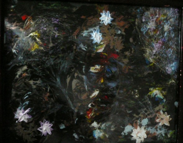 le jardin de nuit