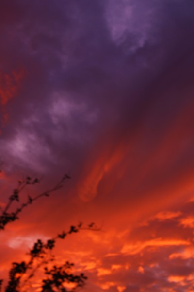 Georgia Sunset