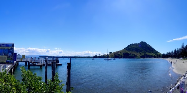 Tauranga