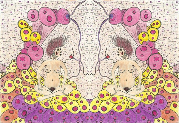 The Fallopian Mirror