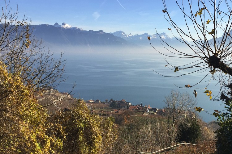 Lavaux in Autumn