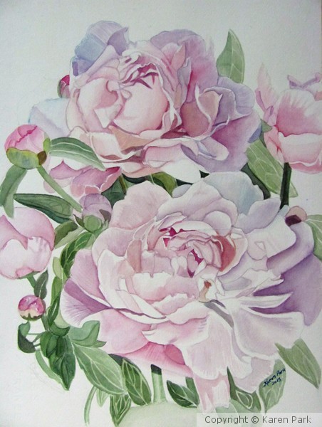 Delicate Peony