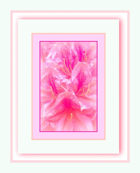 Amazing flower