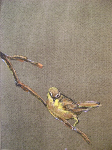 yellow bird sold