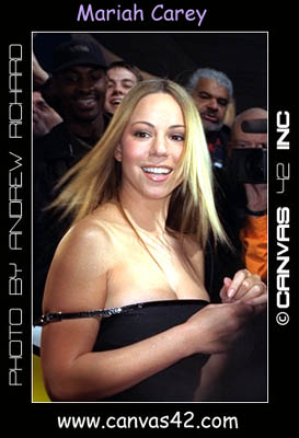 Mariahs Hair
