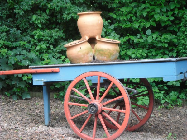 wagon