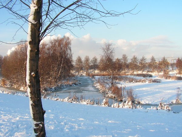 winter 13