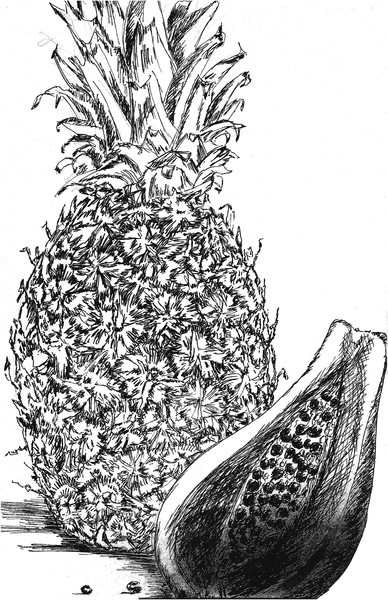 Fruit