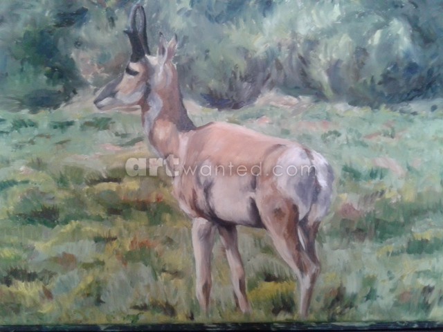 antelope 4