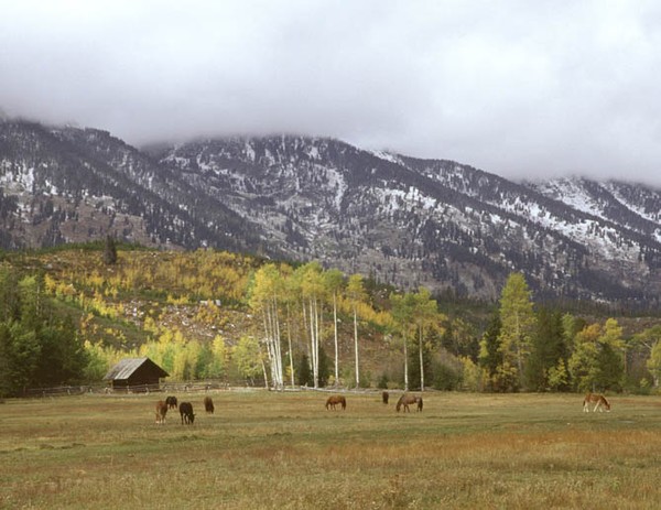 Grazing the Tetons and Clearing Storm