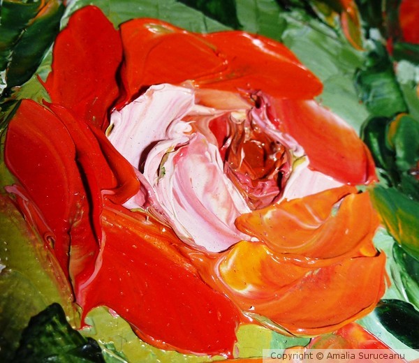 rose of my heart